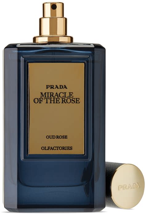 prada miracle of the rose price|PRADA .